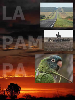 Acampar en LA Pampa